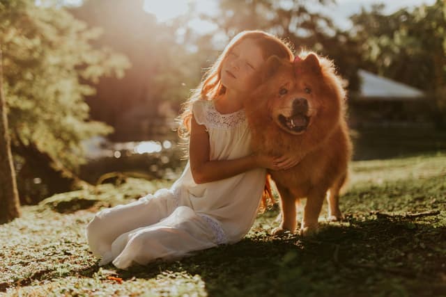 pet-2